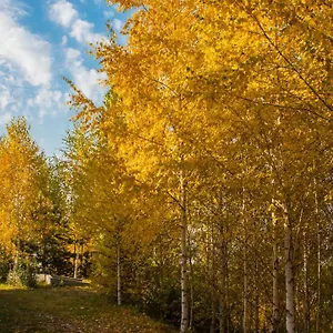 Alpen Ville Алматы